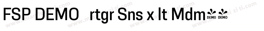 FSP DEMO   rtgr Sns x lt Mdm字体转换